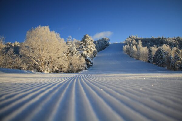 早朝スキー