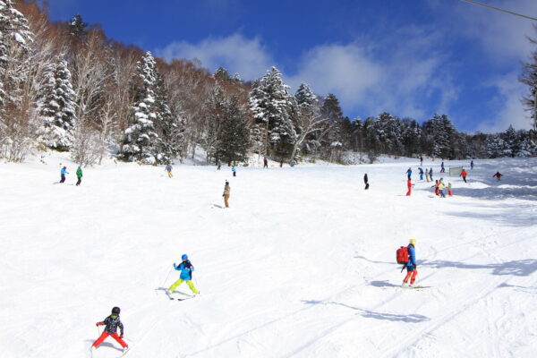 降雪から晴れ！