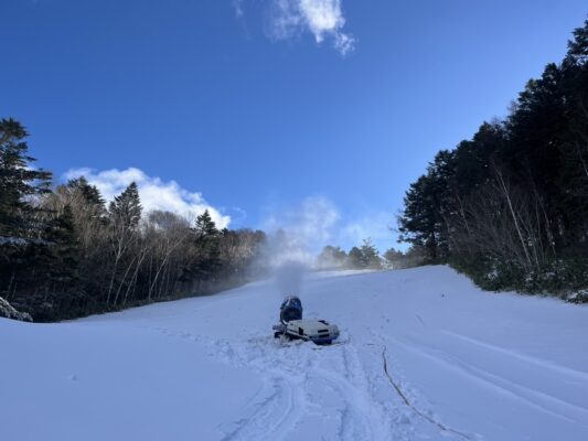 降雪中