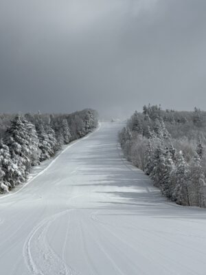 久しぶりの晴れ間