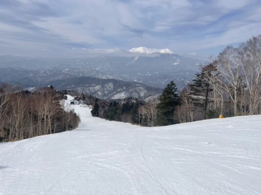 春らしい1日