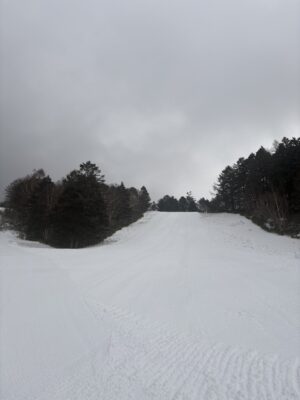 明日から全コースオープンです。