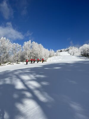 良い感じです。