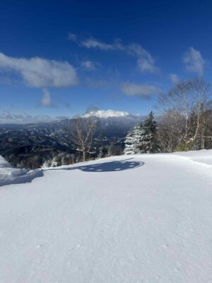 とっても良い天気