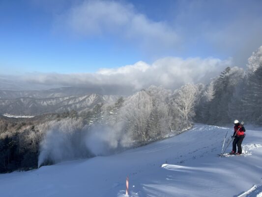 寒い日が続いてます。