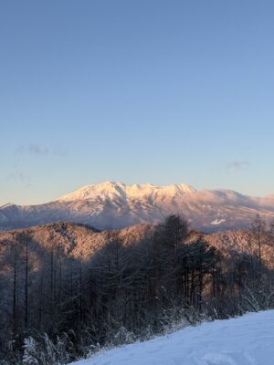 良いコンディションです。