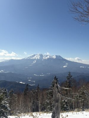 週末も良い天気なりそう