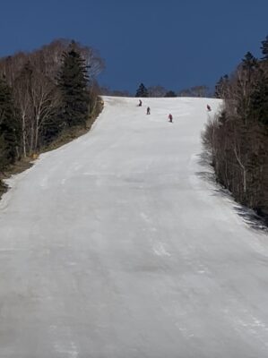 週末は晴れ予報