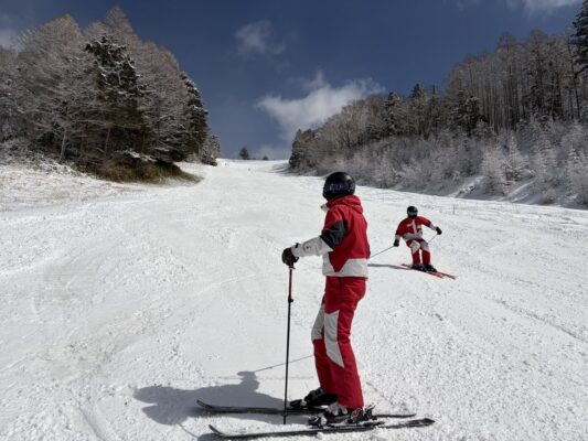久しぶりの雪・・・