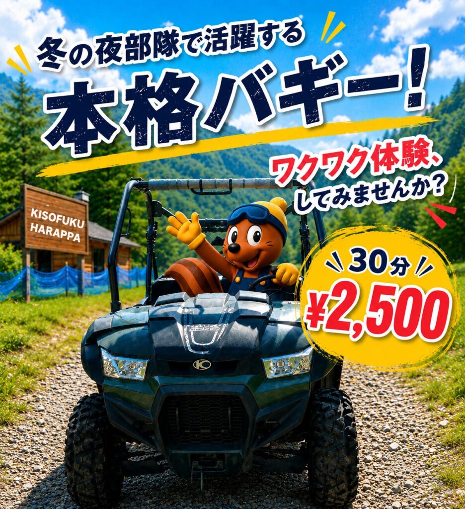 東京都の子供用品 急募♪♪ 今月末処分！HAUCK ダブルバギー