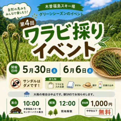 第４回　ワラビ採りイベント開催！